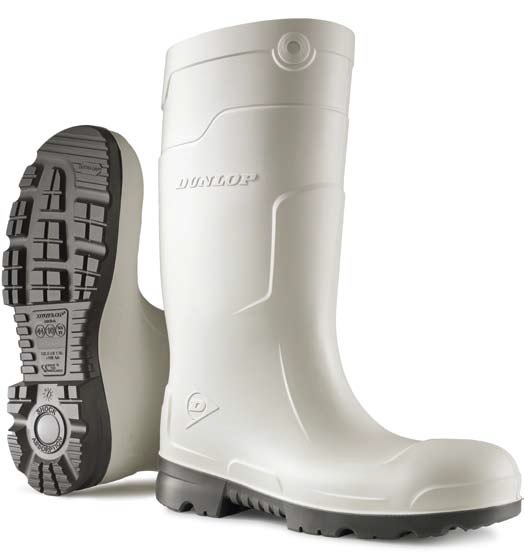 BASELINE_CF11441 (1)